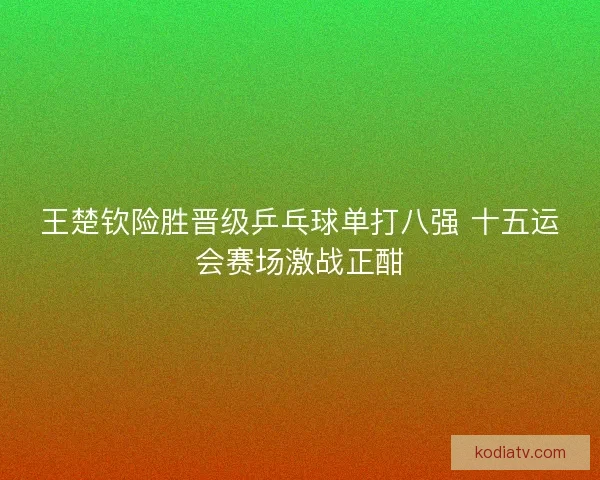 王楚钦险胜晋级乒乓球单打八强 十五运会赛场激战正酣